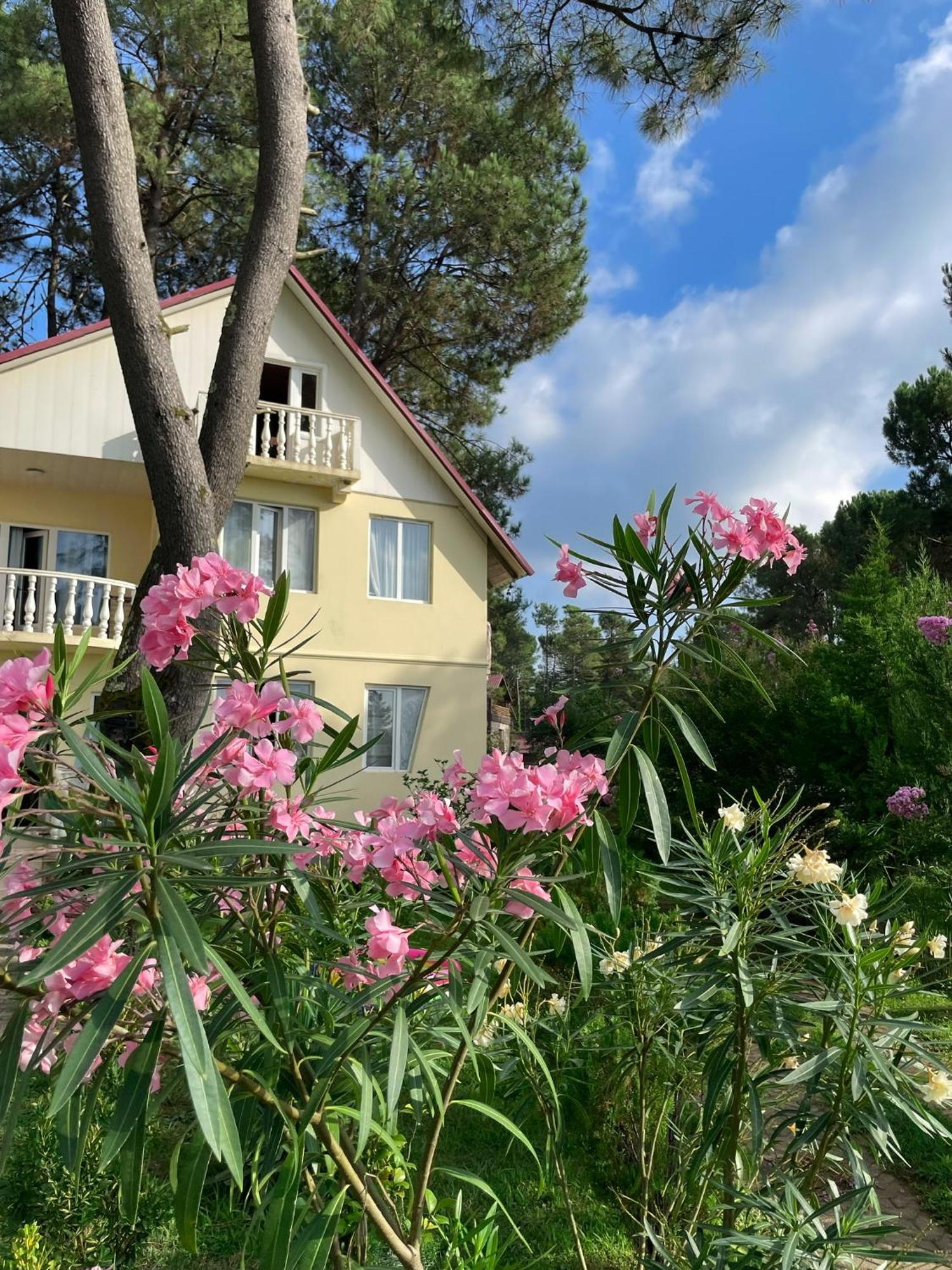 Kaprovani Villa 22 Sekvetili Kültér fotó