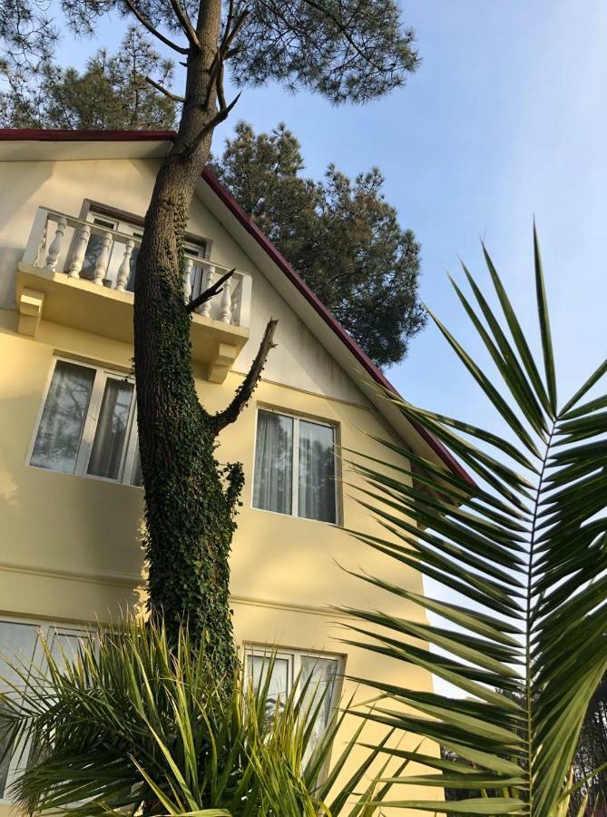 Kaprovani Villa 22 Sekvetili Kültér fotó